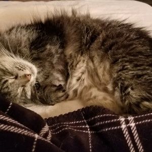 Meet your Posher, Kristen